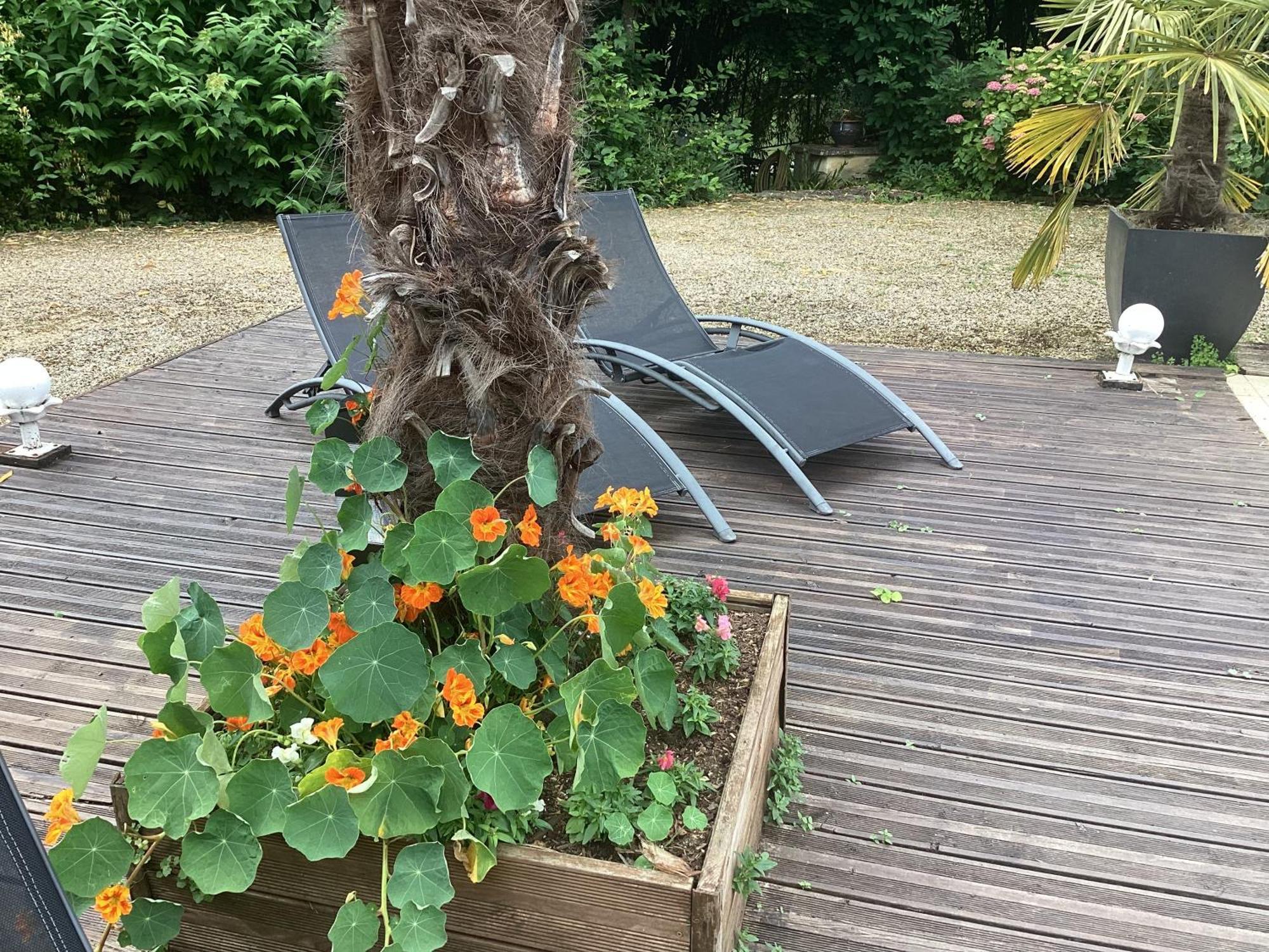 Bed and Breakfast Le Lavoir Шатору Экстерьер фото